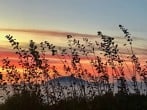 Sunset beyond the grass Sunset beyond the grass